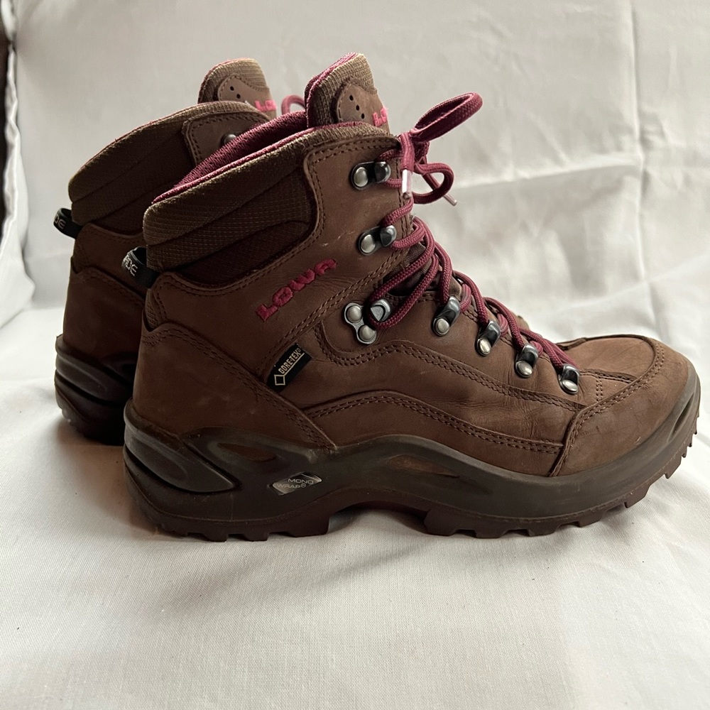 Lowa Renegade GTX Mid Hiking Boots